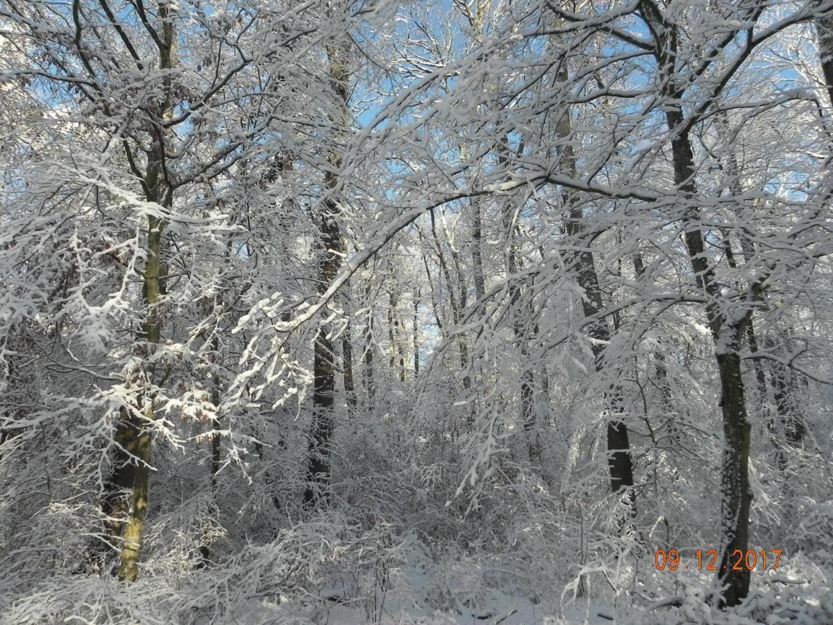 Gite 3 Frontieres Hagenthal-le-Bas Buitenkant foto