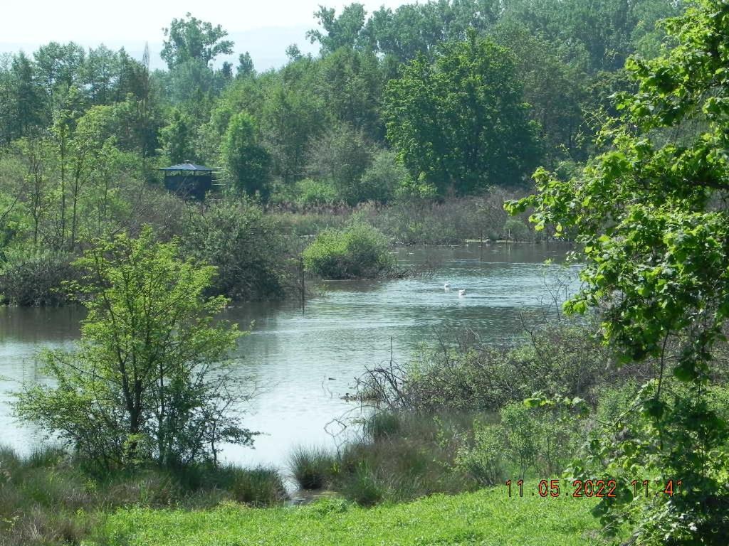 Gite 3 Frontieres Hagenthal-le-Bas Buitenkant foto